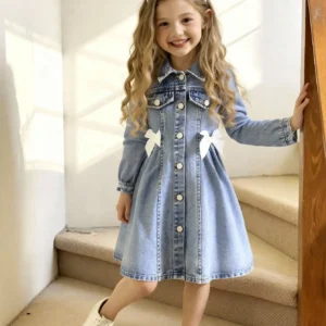 Denim Long Sleeve Dress