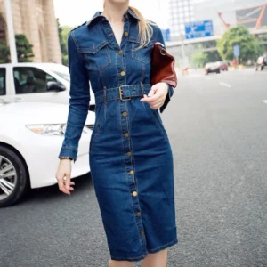 Slim Fit Denim Wrap Dress